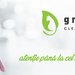 Greencat Cleaning Facility - Servicii de curatenie